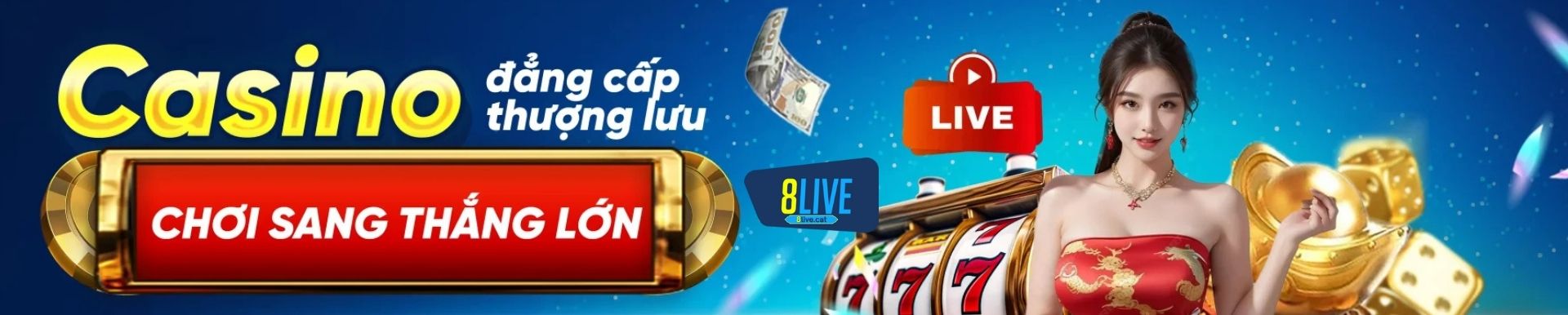 banner-8live-cat
