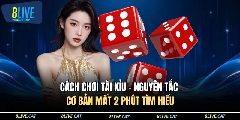 Cách Chơi Tài Xỉu - Nguyên Tắc Cơ Bản Mất 2 Phút Tìm Hiểu 1 Cách Chơi Tài Xỉu - Nguyên Tắc Cơ Bản Mất 2 Phút Tìm Hiểu